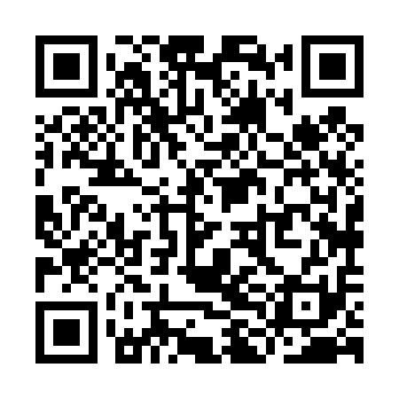 QR code for YLH411