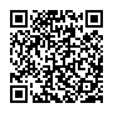 QR code for YLP489