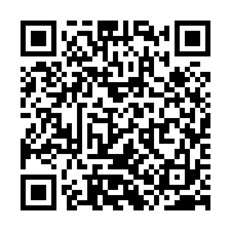 QR code for YP3833