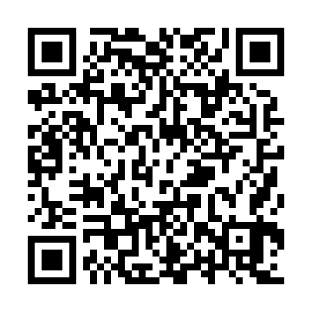 QR code for YPP863