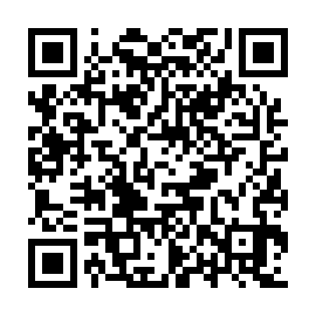 QR code for YPV133