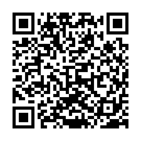 QR code for YPY311