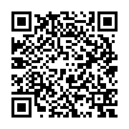 QR code for YS16336