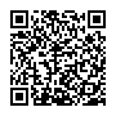 QR code for YT6379
