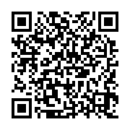 QR code for YUL333