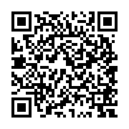 QR code for YV46487