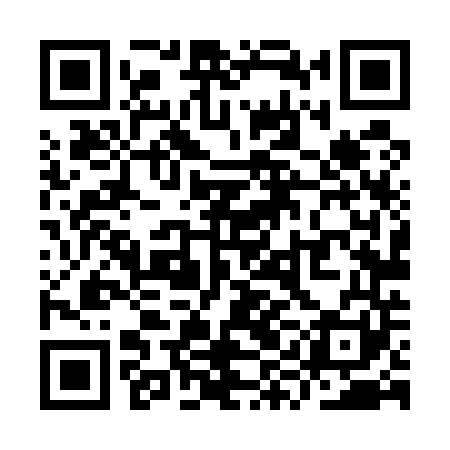 QR code for YYL541