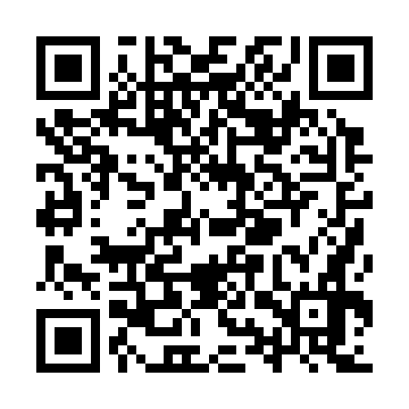 QR code for YYP376