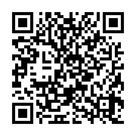 QR code for YYS538