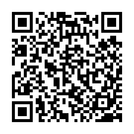QR code for YYS650