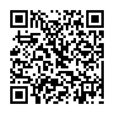 QR code for YZB385