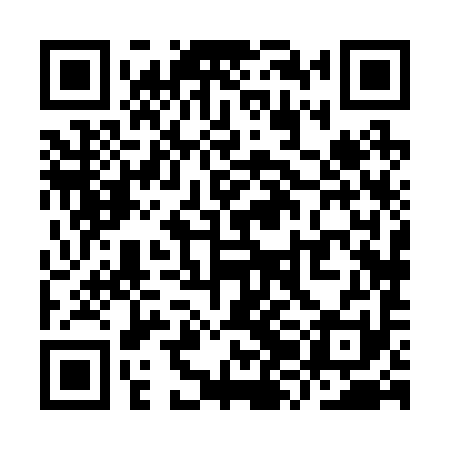 QR code for YZH291