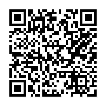 QR code for YZR273