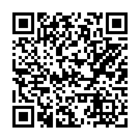 QR code for YZV641