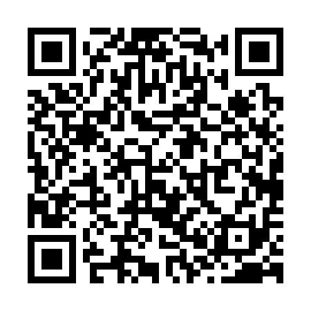 QR code for Z00311