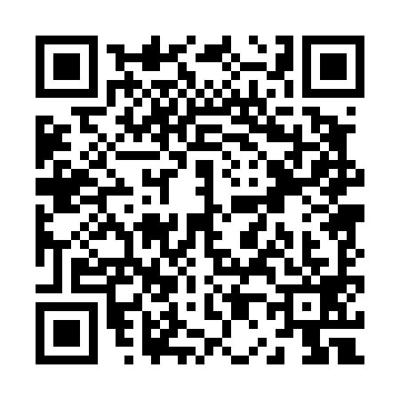 QR code for Z004999