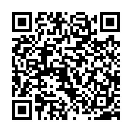 QR code for Z007729