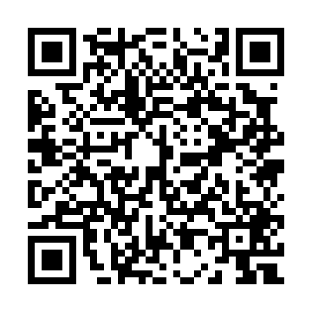 QR code for Z010493