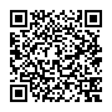 QR code for Z015382
