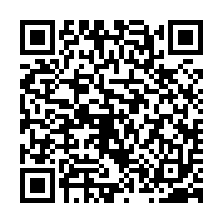 QR code for Z028133