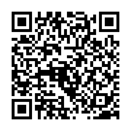 QR code for Z033398