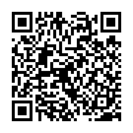 QR code for Z036038
