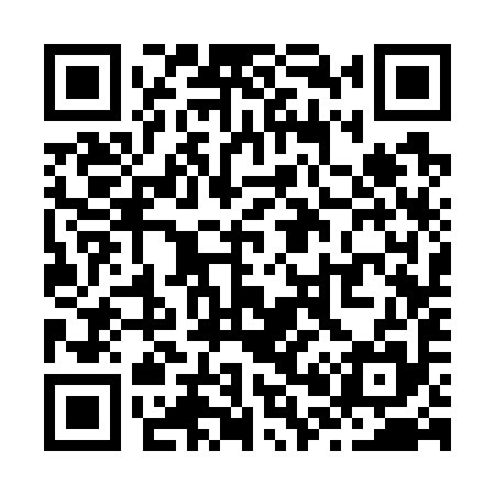 QR code for Z03795