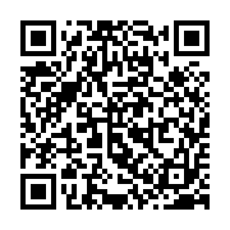 QR code for Z03813