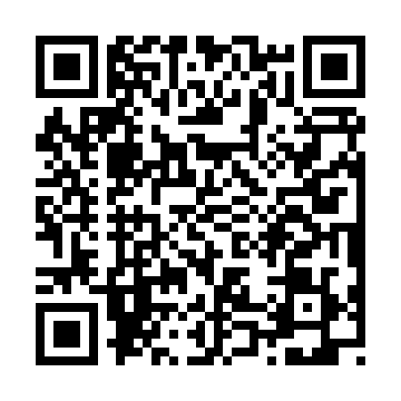 QR code for Z038294