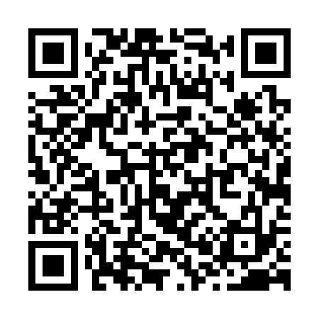 QR code for Z04333