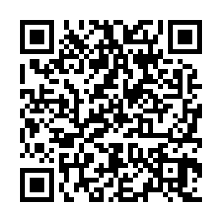 QR code for Z048209