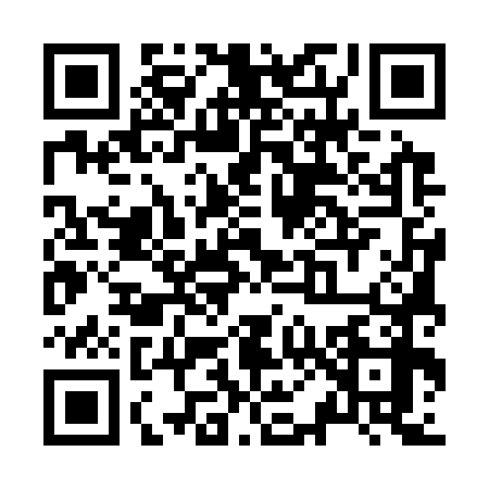 QR code for Z053788