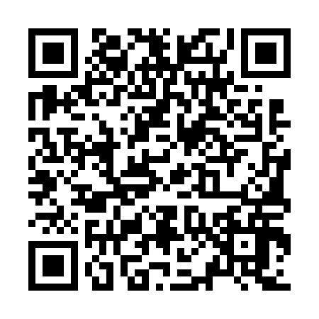 QR code for Z056161