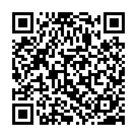 QR code for Z06225