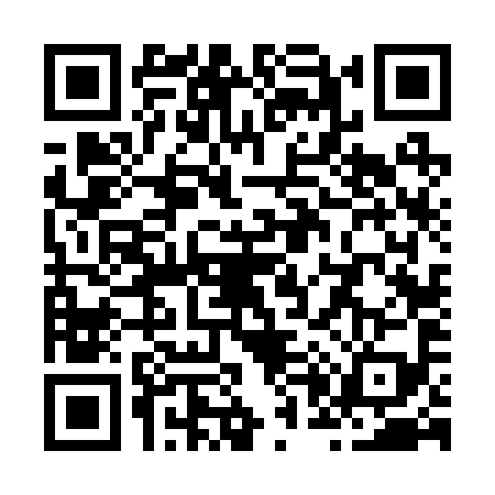 QR code for Z062994