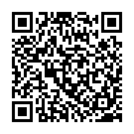 QR code for Z06394