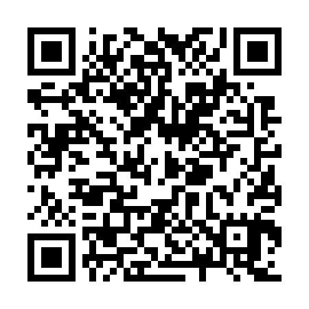 QR code for Z06705