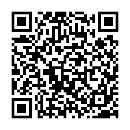 QR code for Z06717