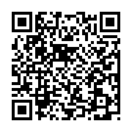 QR code for Z071938