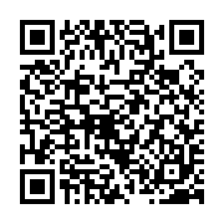 QR code for Z071977