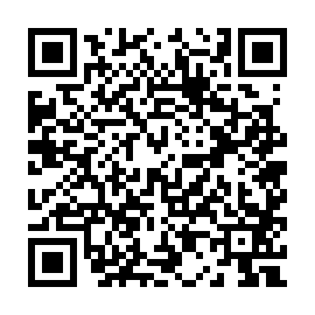 QR code for Z073838