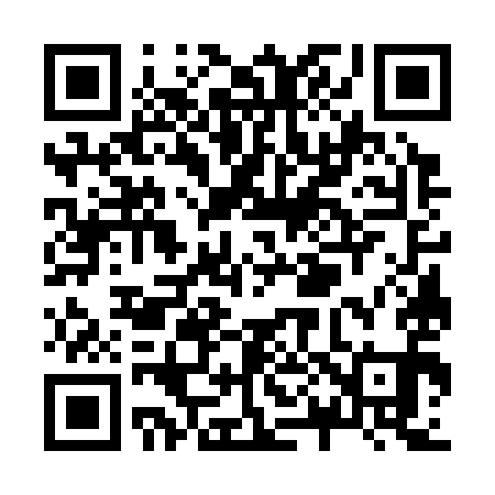 QR code for Z07391