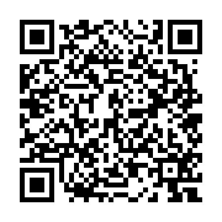 QR code for Z076161