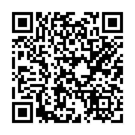 QR code for Z08383