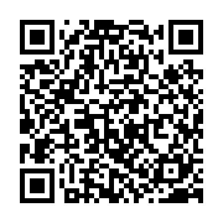 QR code for Z09225