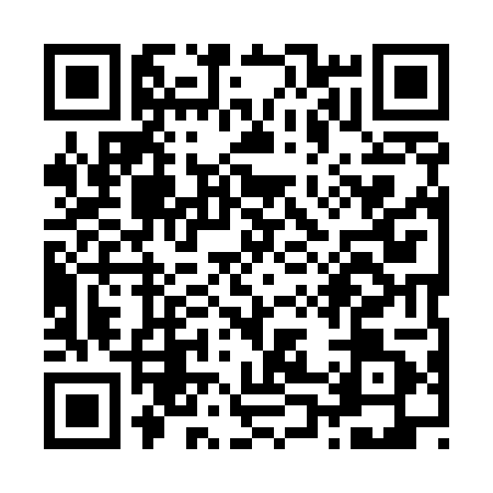 QR code for Z095010