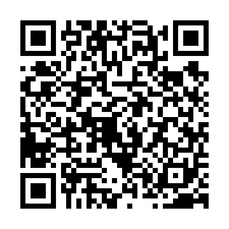 QR code for Z096517