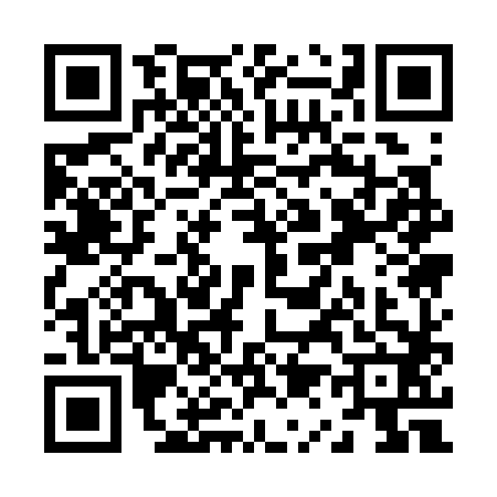 QR code for Z113828