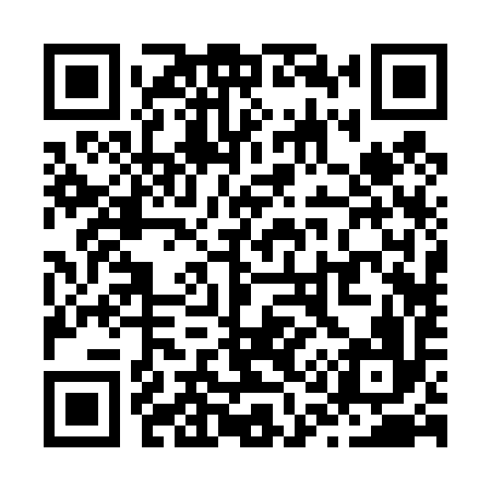 QR code for Z12496