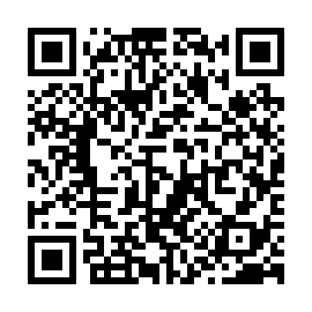 QR code for Z13238